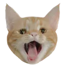 nemui nemui