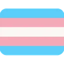 flag_transgender