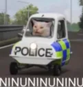 ninuninu