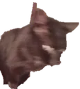 BlurCat