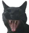 ScreamCat3