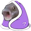 comfyFish