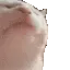 vibecat