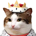 Catking CatKing Discord Emoji