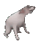 doggo
