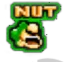 nut2
