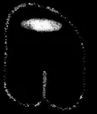 BLACKAMOGUS
