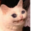 CatCry Discord emoji