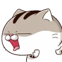 phatcatack