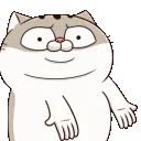 phatcattf phatcattf