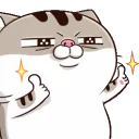 phatcatgood phatcatgood