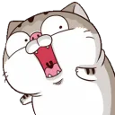 phatcatgasp phatcatgasp