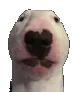 Walter