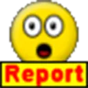 Report