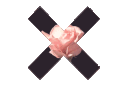 2_xx