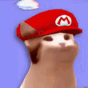 _mariobop