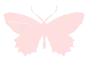 :c_pinkbutterfly: