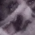 qqqcatbigbigcry