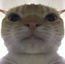 HC_mystic_gamingcat