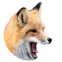 Pogfox Discord Emoji