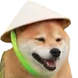GrassDoge