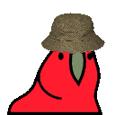 ParrotKibbutz