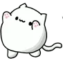 catto
