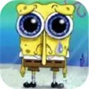 sponchbob sponchbob