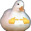 duckuwu
