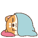 ow_dogsleep