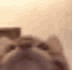 gx_mlermie Discord emoji