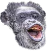 monkechamp