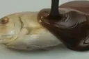 lefishe