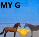 myg
