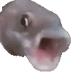 Poggersfish Poggersfish