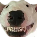 walter