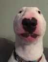 walter