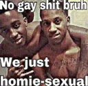 homiesexual