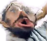 h3ggg