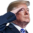 trumpsalute