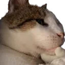 paglithink