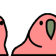 BirbDanceTrain