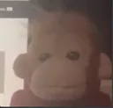 4718_monke_stare
