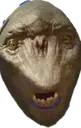 ologwtf