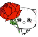 RNX_rose