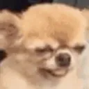 TooTired