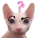 curious