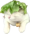 lirikL
