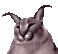 floppajam