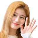 SanaWave Discord emoji